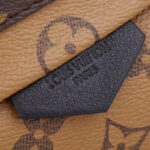 Louis Vuitton Palm Springs Pm M44870 Brown